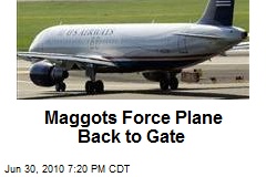 Maggots Force Plane Back to Gate