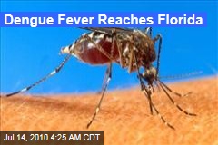 Dengue Fever Reaches Florida