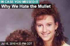 Why We Hate the Mullet