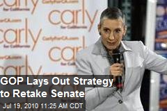 GOP lays out strategy to retake Senate