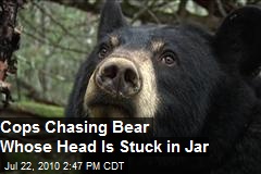 Public Jarred by Bear Stuck in One