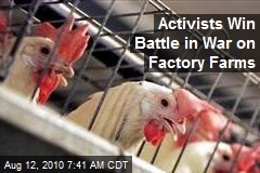 Activists Move to Hobble Factory Farms