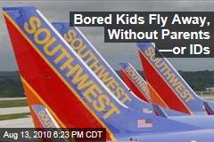 Bored Kids Fly Away, Without Parents &mdash;or IDs
