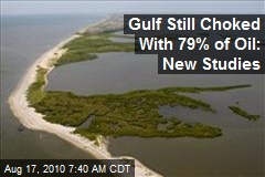 Gulf Still Choked With 79% of Oil: New Studies