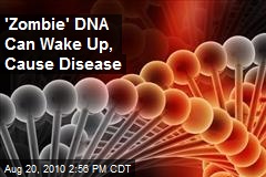 'Zombie' DNA Can Wake Up, Cause Disease