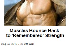Muscles Bounce Back to 'Remembered' Strength