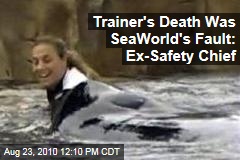Trainer's Death Was SeaWorld's Fault: Ex-Safety Chief