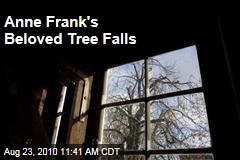 Anne Frank's Beloved Tree Falls