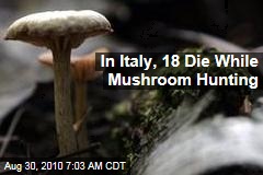 In Italy, 18 Die While Mushroom Hunting