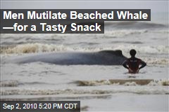 Men Mutilate Beached Whale &mdash;for a Tasty Snack