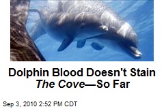 Dolphin Blood Doesn't Stain The Cove &mdash;So Far