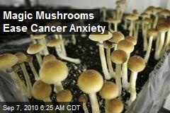 Magic Mushrooms Ease Cancer Anxiety